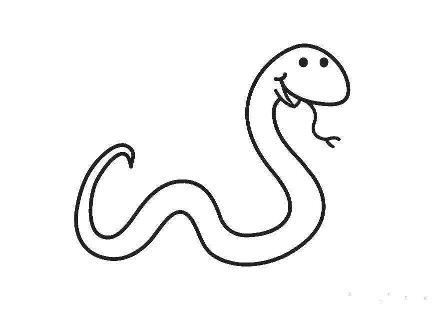 Coloring Snake. Category reptiles. Tags:  the snake.