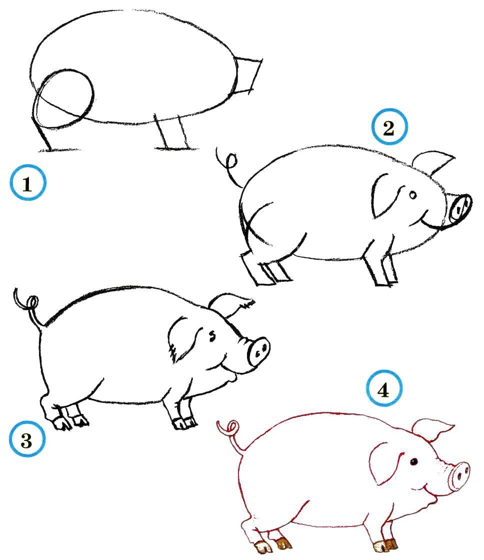 Название: Раскраска Рисуем поэтапно свинку. Категория: как нарисовать поэтапно животных. Теги: Образец, обвести по контуру.