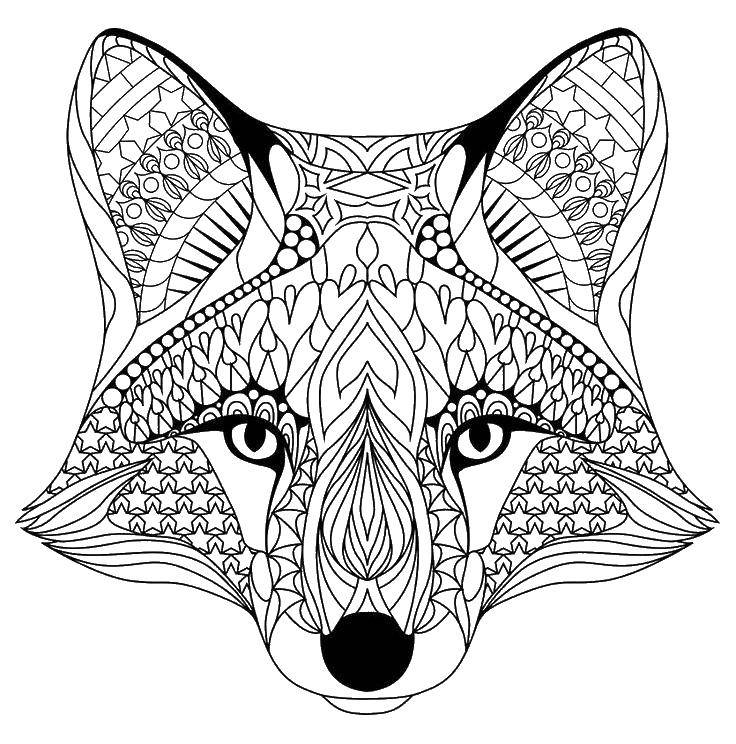 Название: Раскраска Голова лисы. Категория: раскраски для взрослых. Теги: голова, лиса, глаза, нос.
