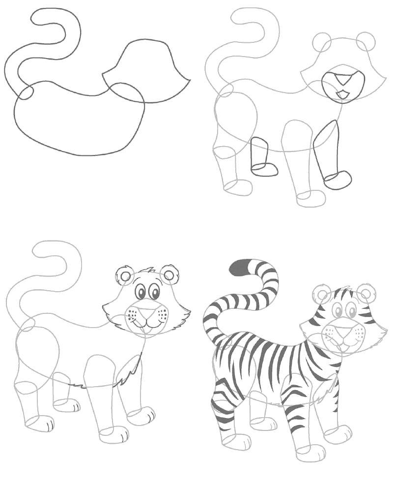 Название: Раскраска Как нарисовать тигра. Категория: как нарисовать поэтапно карандашом. Теги: Животные, тигр.