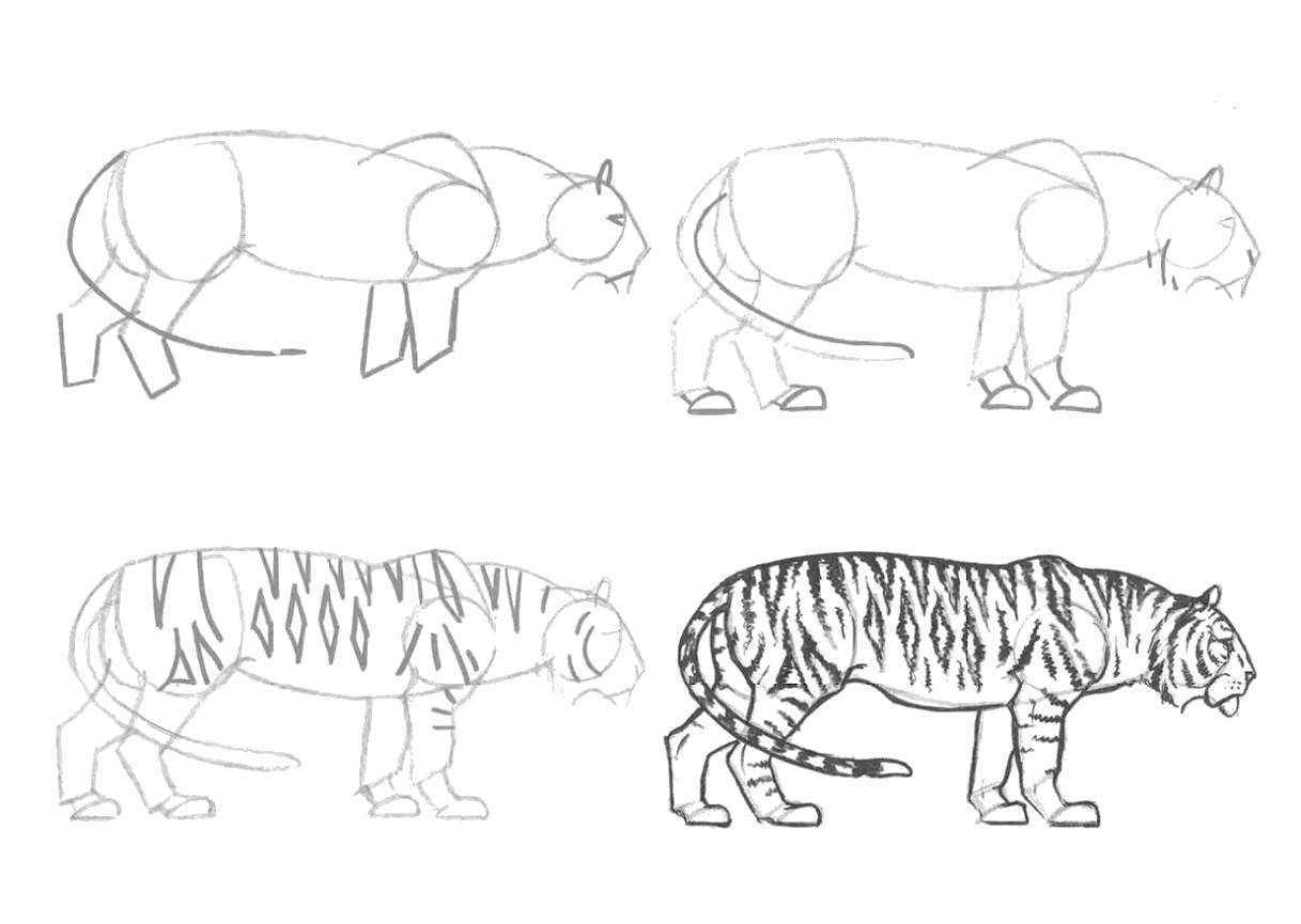Как нарисовать амурского тигра легко и просто