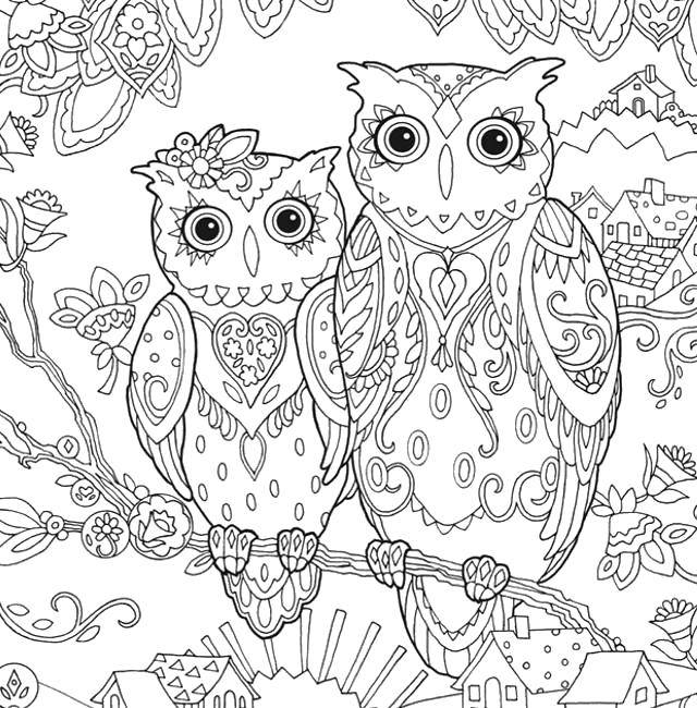 Coloring Owls on twig. Category Bathroom with shower. Tags:  Bathroom with shower.