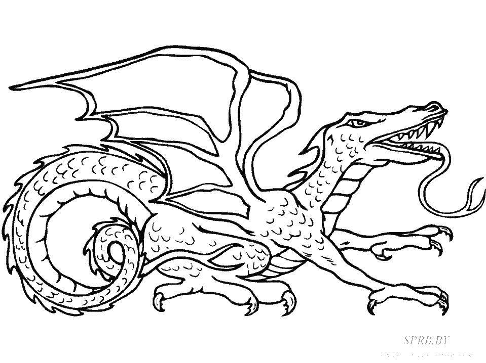 Coloring Dragon with snake tongue. Category Dragons. Tags:  dragon, wings, fangs, paws.