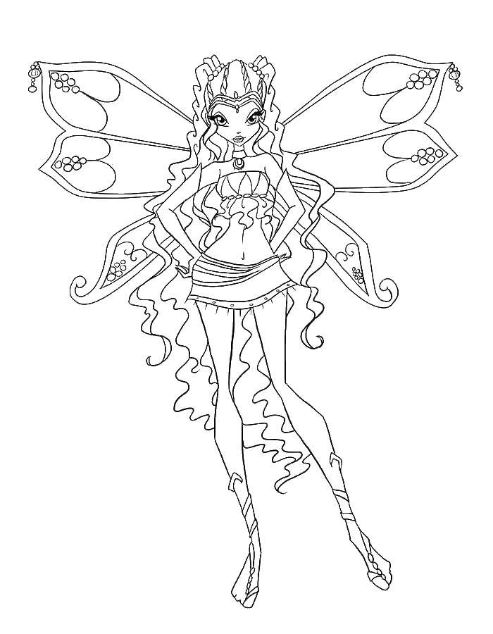 Coloring Fairy of the winx. Category Winx. Tags:  fairy, girl, wings.