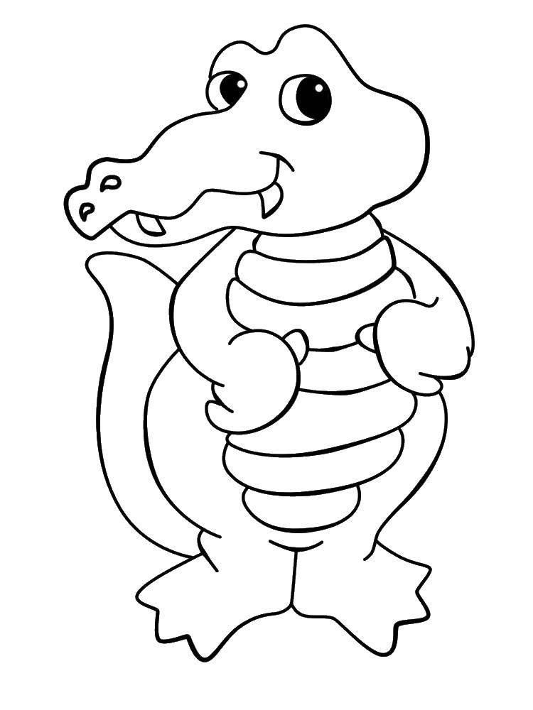 Название: Раскраска Маленький крокодил. Категория: крокодил. Теги: крокодил, хвост, зубы.