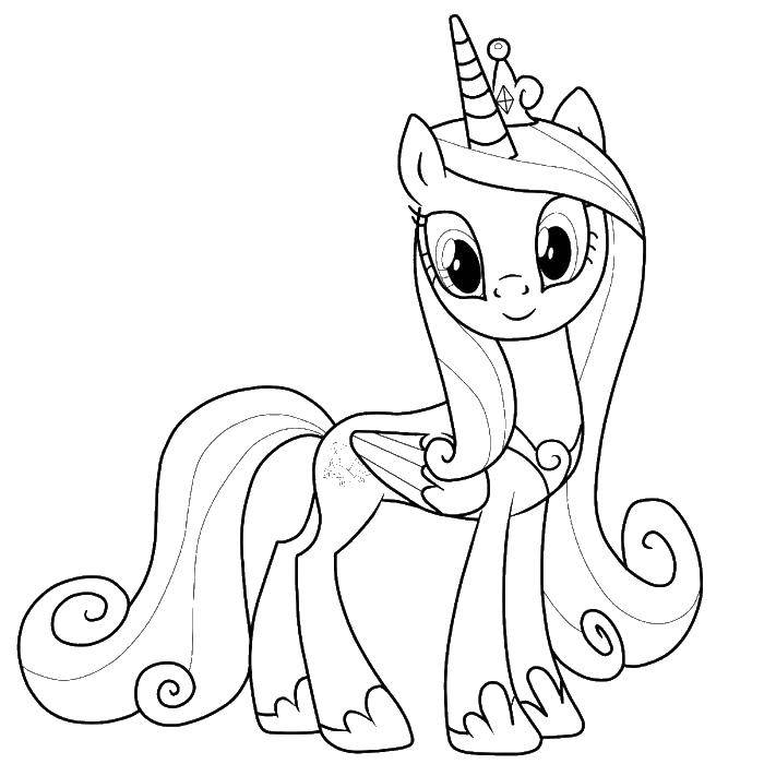 Coloring Pony with crown. Category Ponies. Tags:  pony, unicorn, crown.