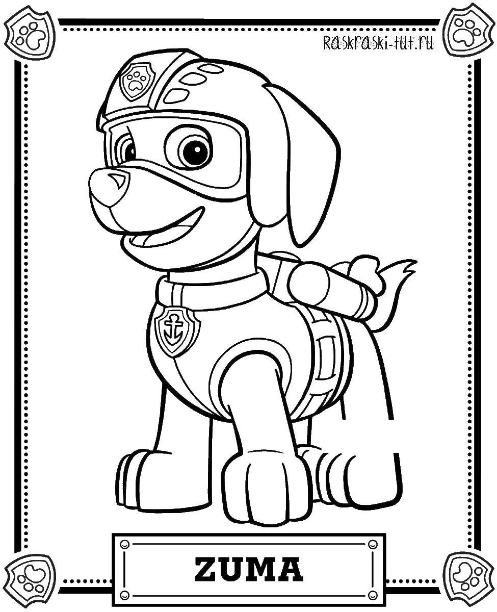 Название: Раскраска Собака зума. Категория: мультики. Теги: собака, спасатель, Зума.