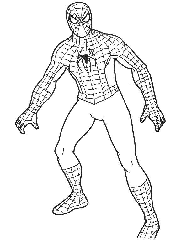 Розмальовки  Людина павук в костюмі. Завантажити розмальовку супергерої, мультфільми, спайдермен.  Роздрукувати ,супергерої,