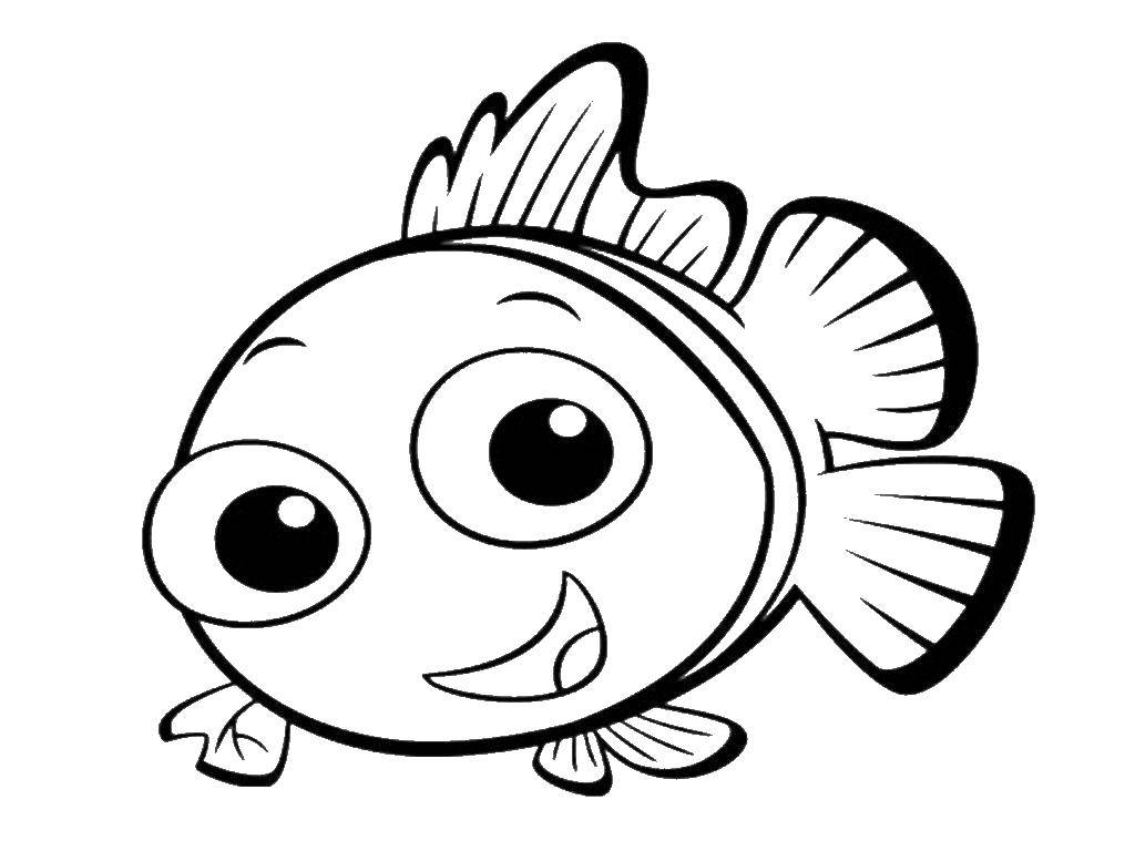 Название: Раскраска Большеглазая рыбка. Категория: рыбы. Теги: рыбки, море.