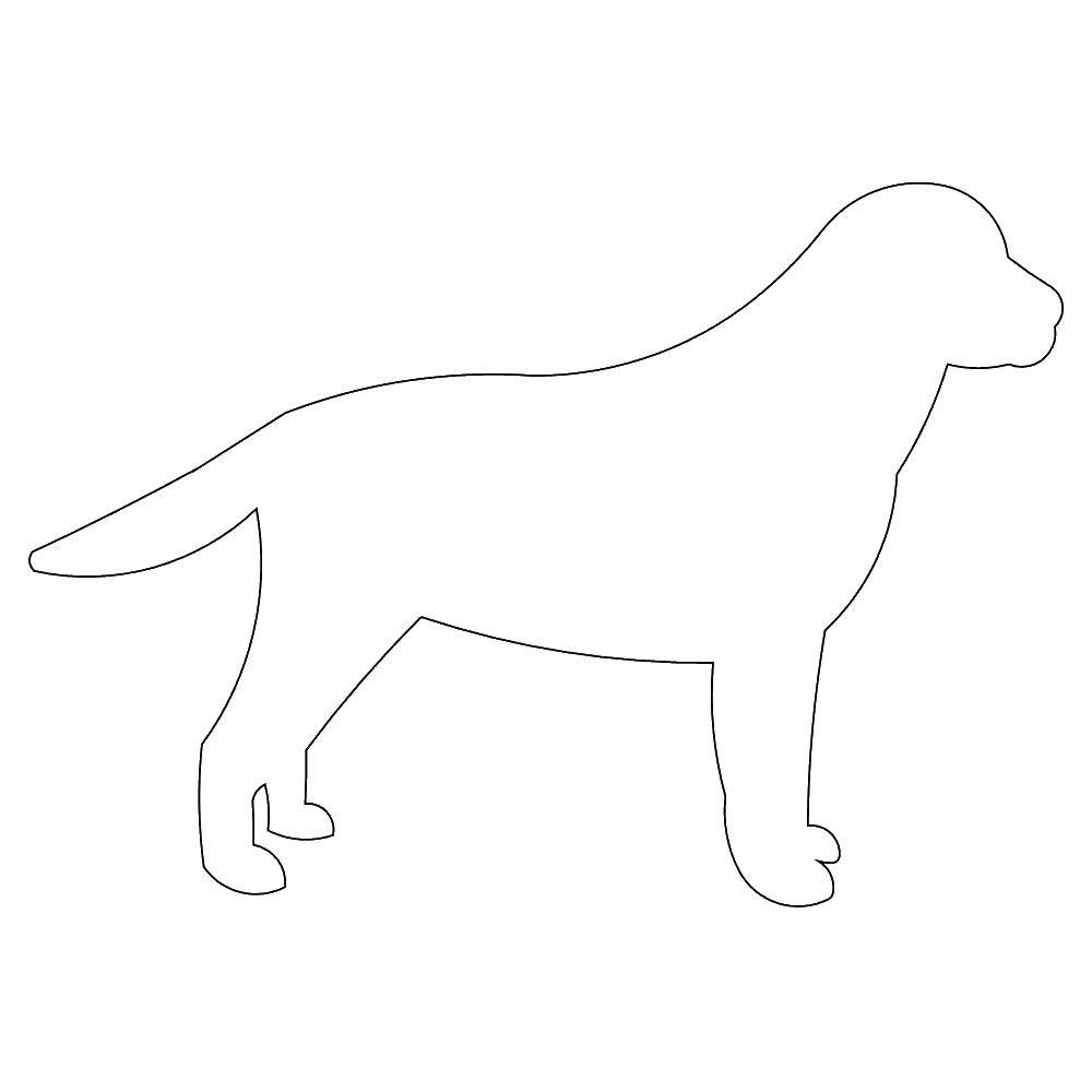 Coloring The contour of the dog. Category the contours of the dog. Tags:  the contours, dogs, dog.