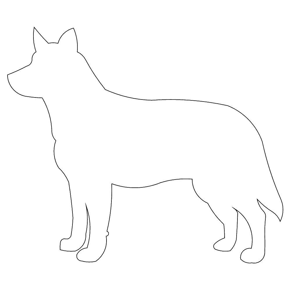Название: Раскраска Контур собаки. Категория: контуры собаки. Теги: контур, шаблон, собака.