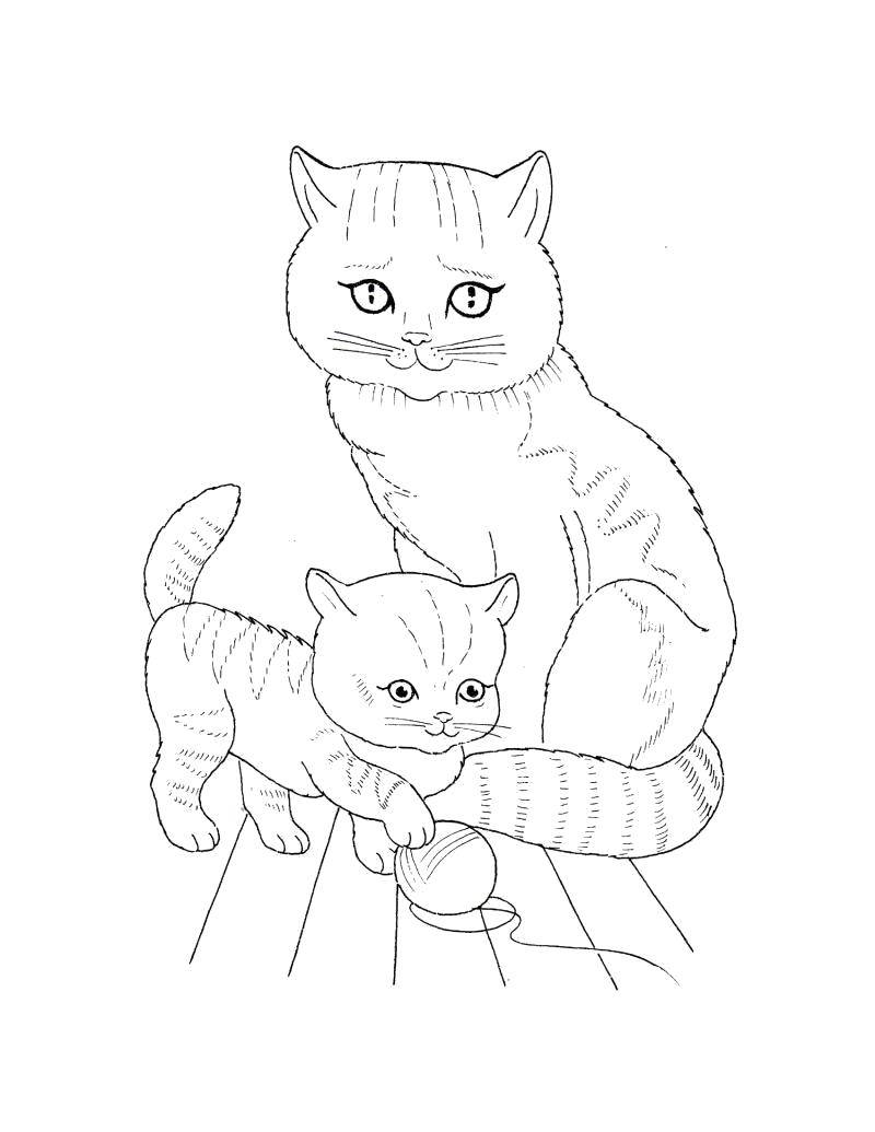 Название: Раскраска Котёночек с мамой. Категория: котики. Теги: Животные, котёнок.