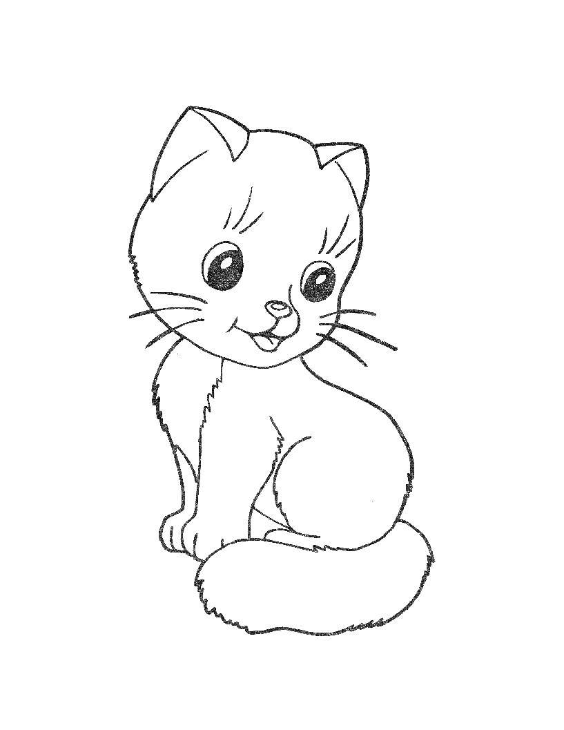 Название: Раскраска Котёнок. Категория: котики. Теги: Животные, котик.