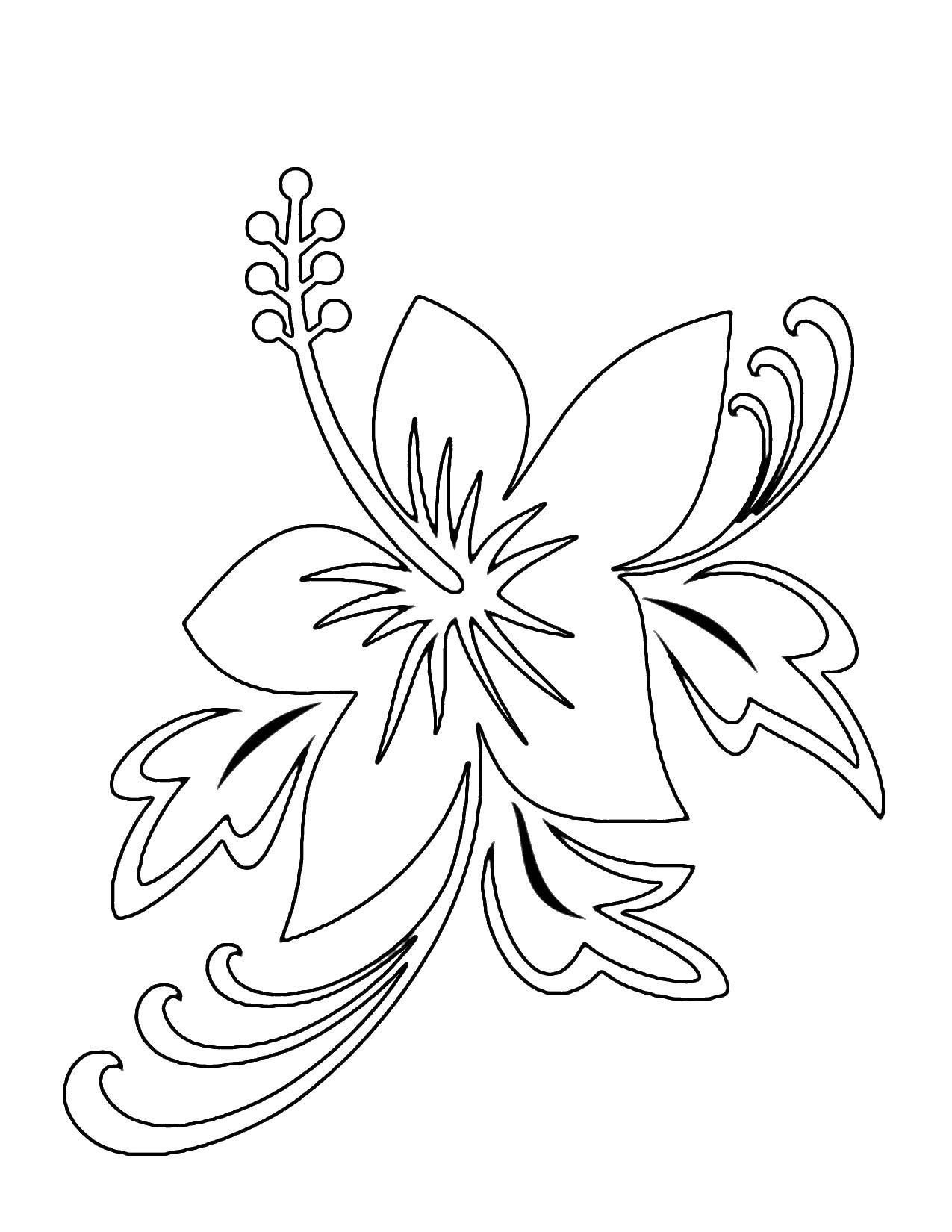 Coloring Lily. Category flowers. Tags:  flowers, Lily, pollen.