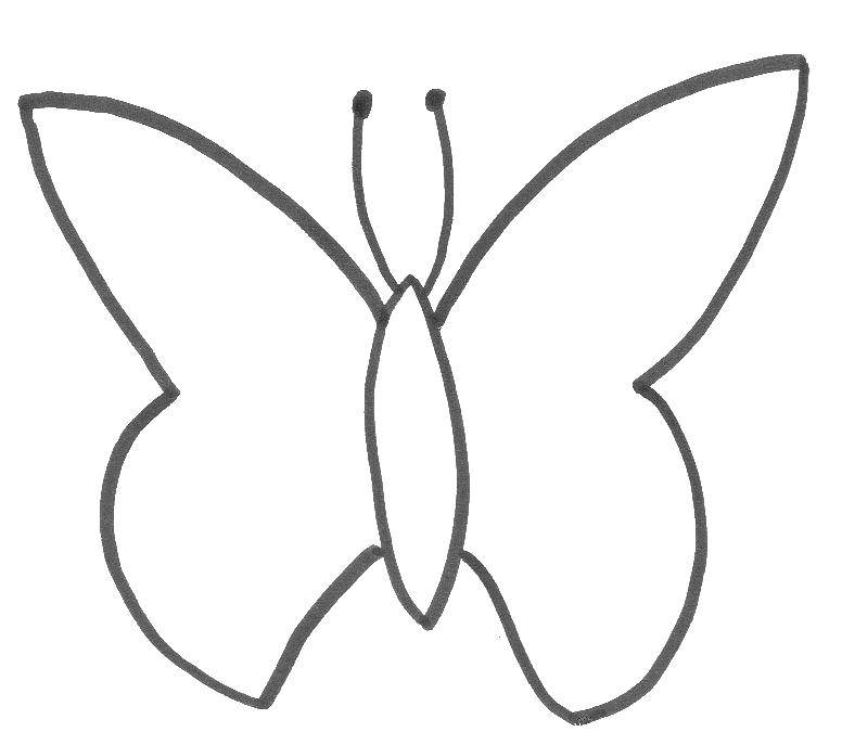 Название: Раскраска Бабочка. Категория: контуры для вырезания бабочек. Теги: контур бабочки, шаблоны.