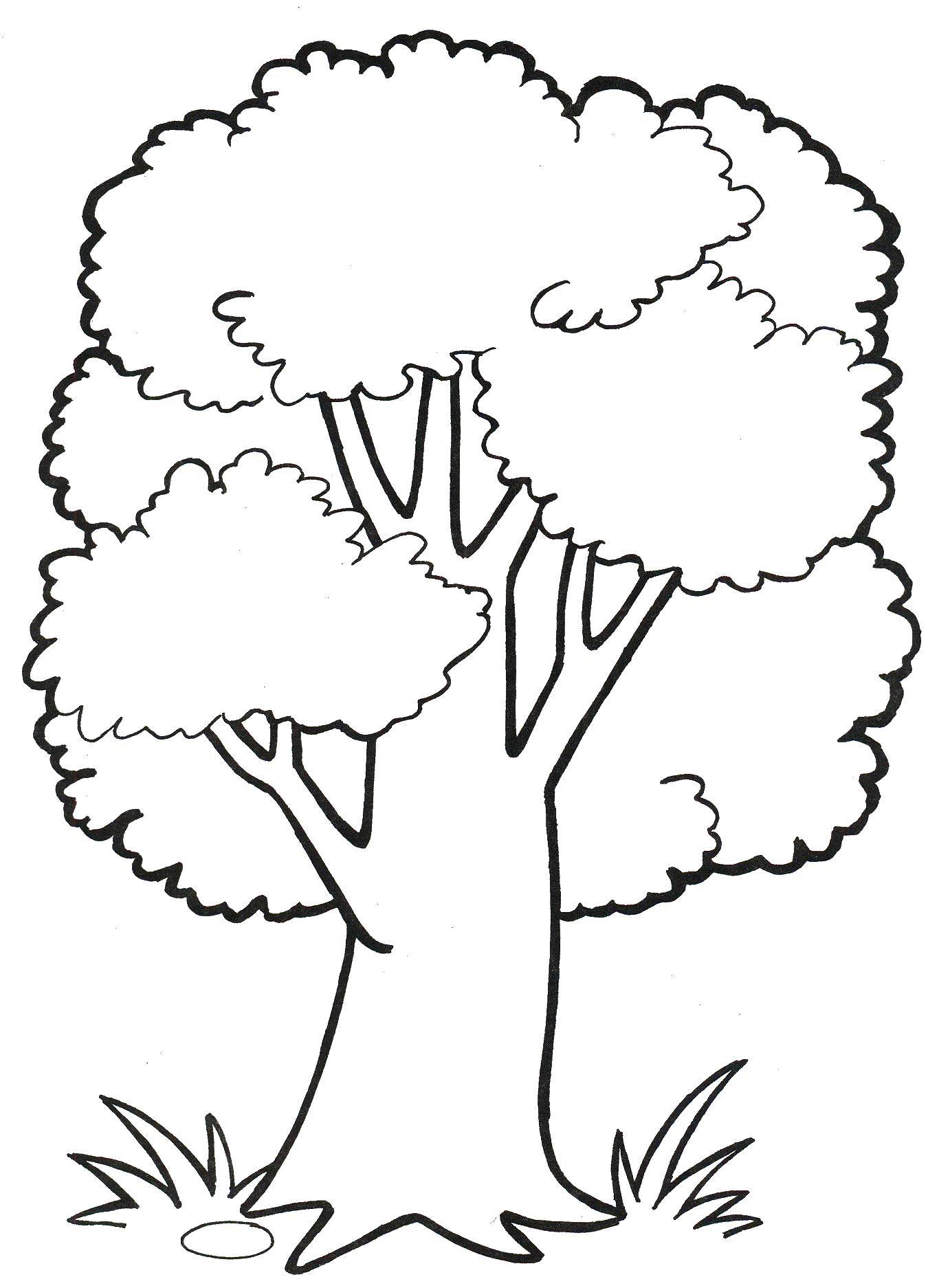 Название: Раскраска Большое дерево. Категория: Растение. Теги: растения, дерево, природа.