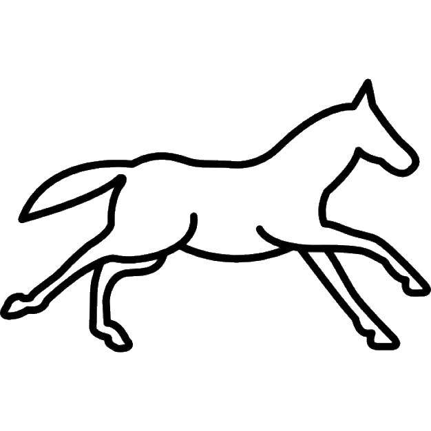 Название: Раскраска Лошадь. Категория: контуры лошади. Теги: контуры лошади.