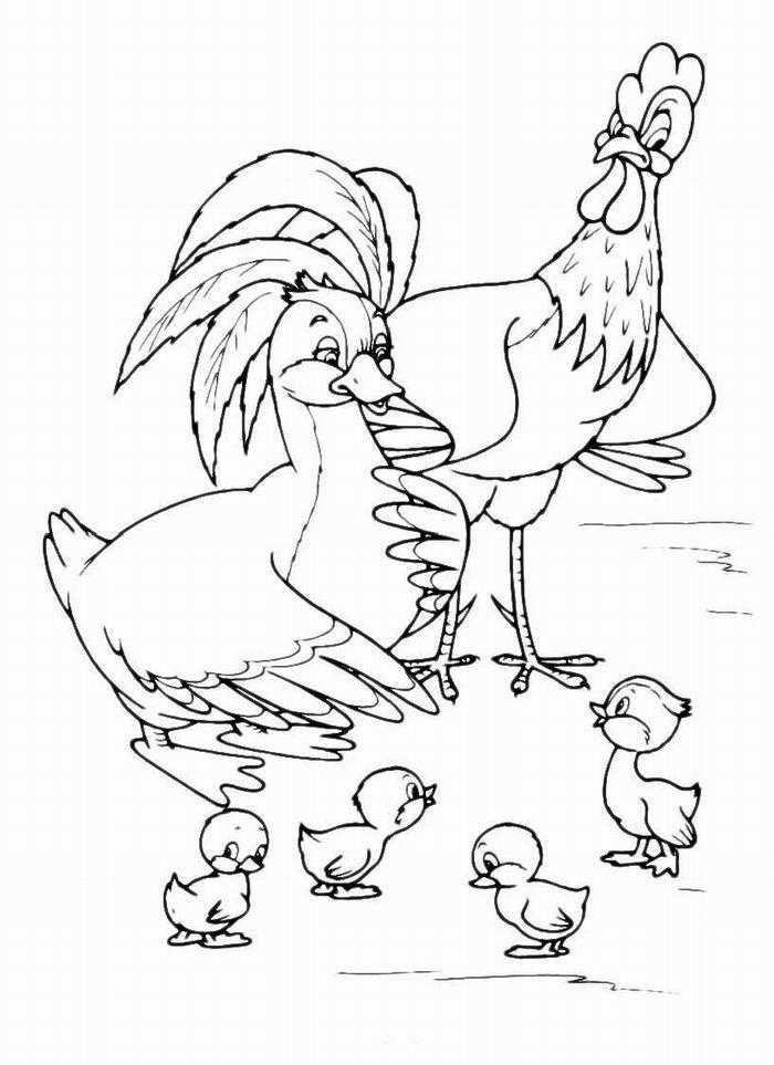Название: Раскраска Рисунок курицы и утки. Категория: домашние животные. Теги: курица, утка.