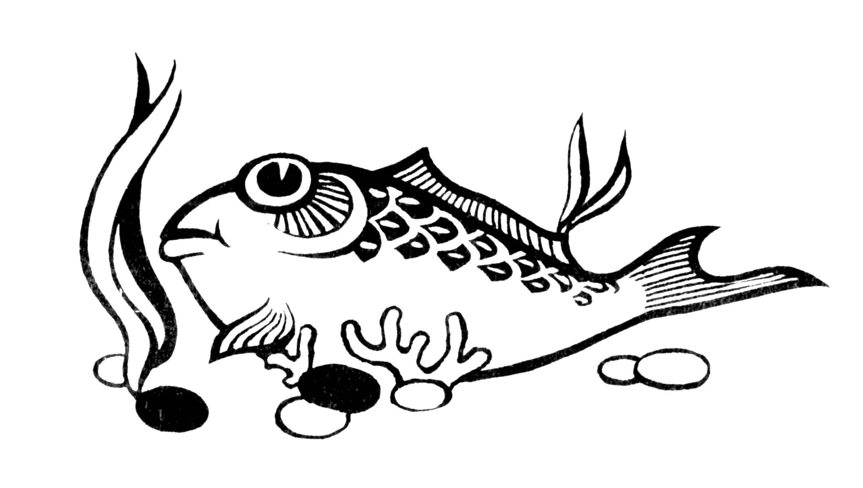 Название: Раскраска Рыбёшка на дне. Категория: рыбы. Теги: Подводный мир, рыба.