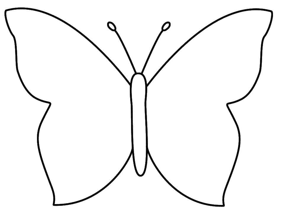 Название: Раскраска Шаблон бабочки. Категория: контуры для вырезания бабочек. Теги: шаблоны, бабочки.