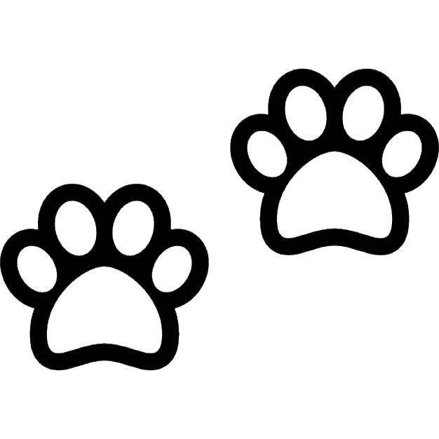 Coloring Traces of dog paws. Category Animal tracks. Tags:  traces, feet.