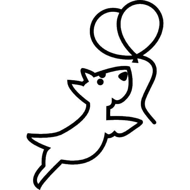 Coloring Dog and balloons. Category the contours of the dog. Tags:  dog balls.
