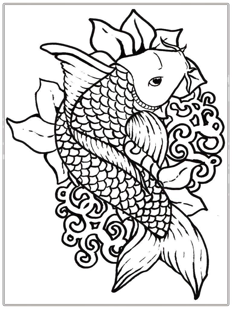 Coloring Som. Category fish. Tags:  fish, catfish, tail.