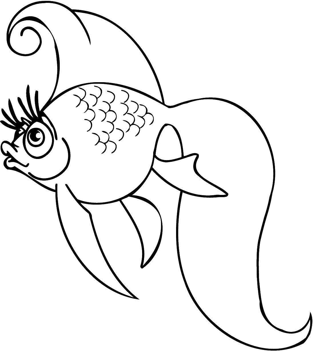 Название: Раскраска Золотая рыбка с ресничками. Категория: рыбы. Теги: Подводный мир, рыба, золотая рыбка.