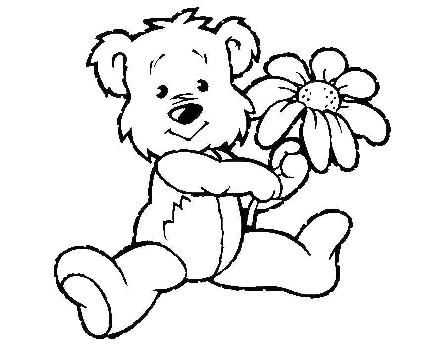 Coloring Bear holding flower. Category little ones. Tags:  Animals, bear, flower.