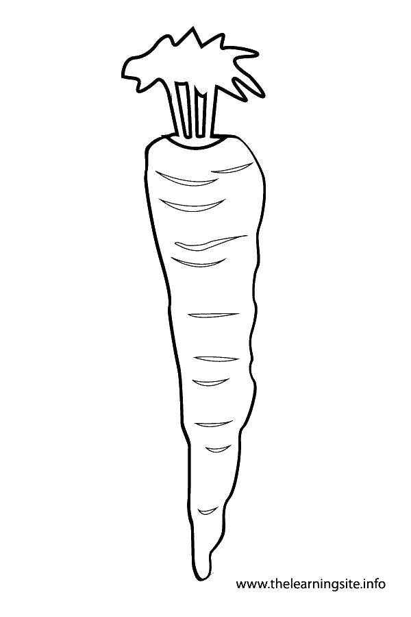 Coloring Little carrot. Category The outline for cutting vegetables. Tags:  Vegetables.