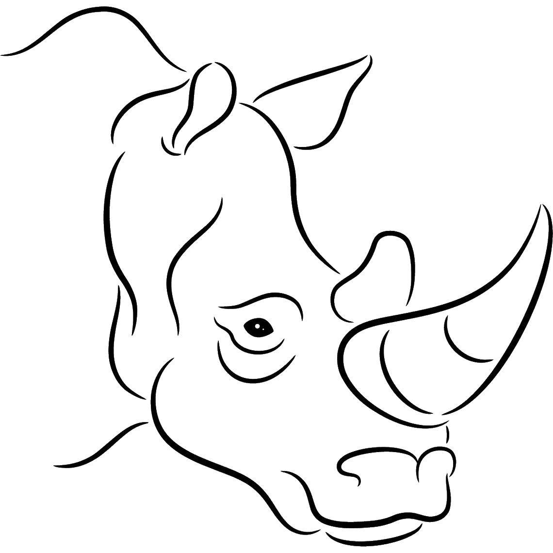 Название: Раскраска Носорог. Категория: Животные. Теги: носорог, животные, рог.