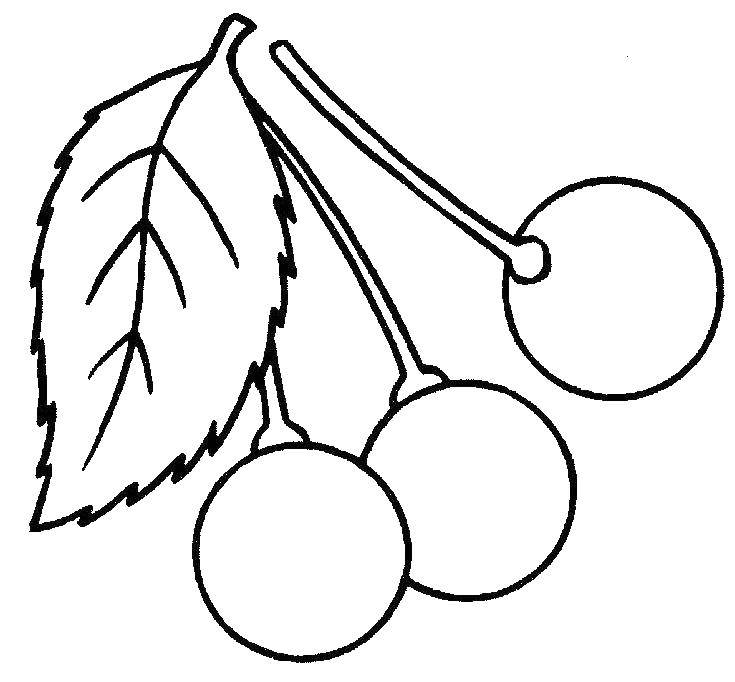 Coloring Three cherries and leaf. Category little ones. Tags:  Berries, cherry.