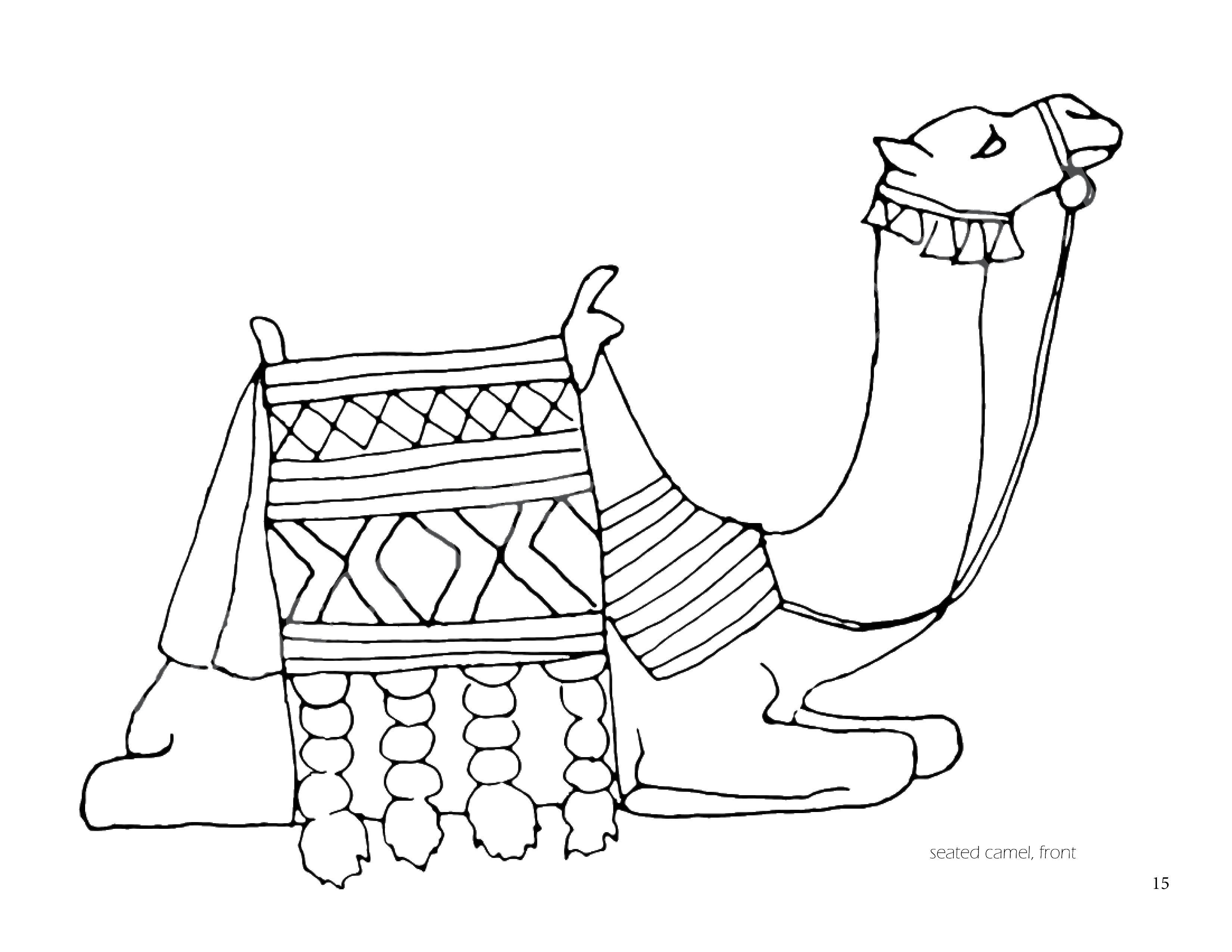 Coloring Camel. Category Animals. Tags:  animals, camels.