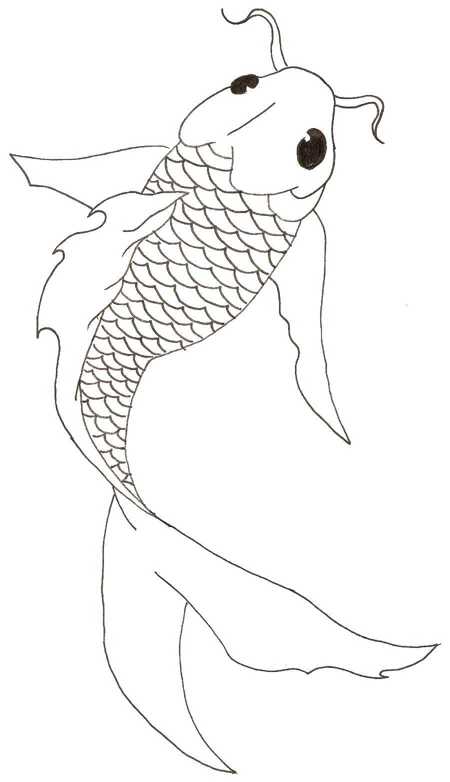 Название: Раскраска Рыбка сомик. Категория: рыбы. Теги: Подводный мир, рыба.