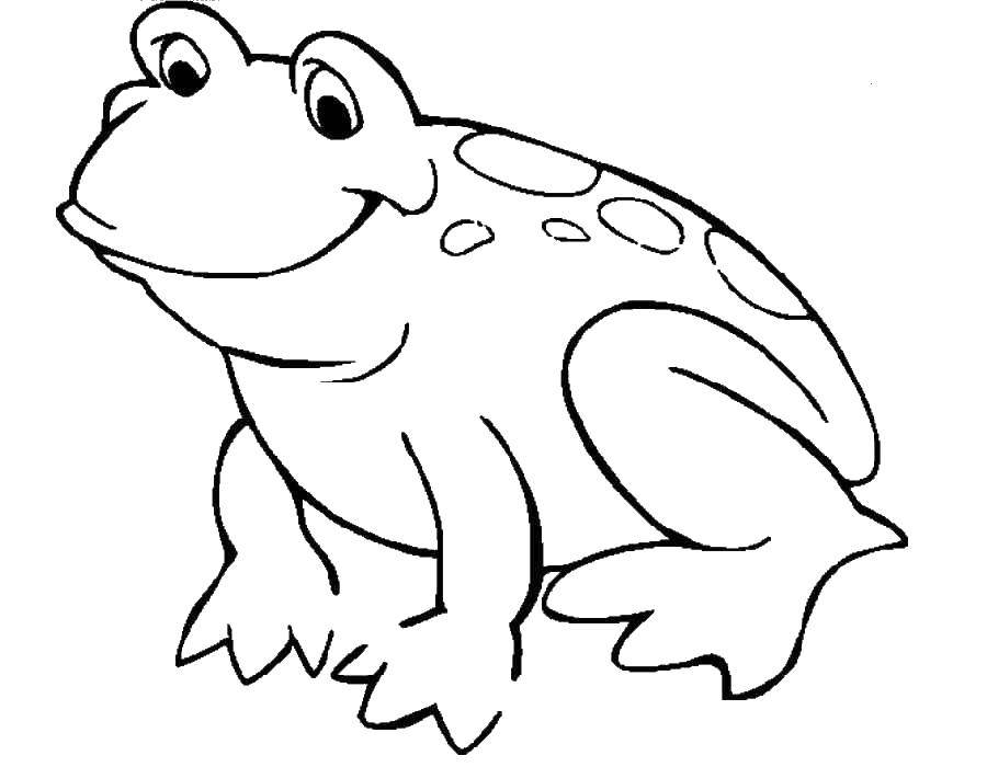 Название: Раскраска Веселая лягушка. Категория: малышам. Теги: Животные, лягушка.