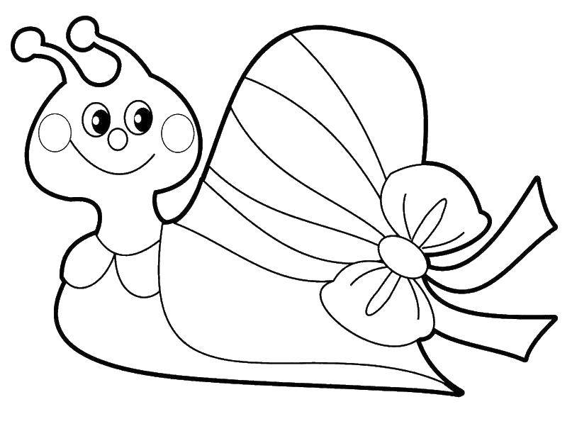 Coloring Snail with a bow. Category little ones. Tags:  Animals, snail, flower.