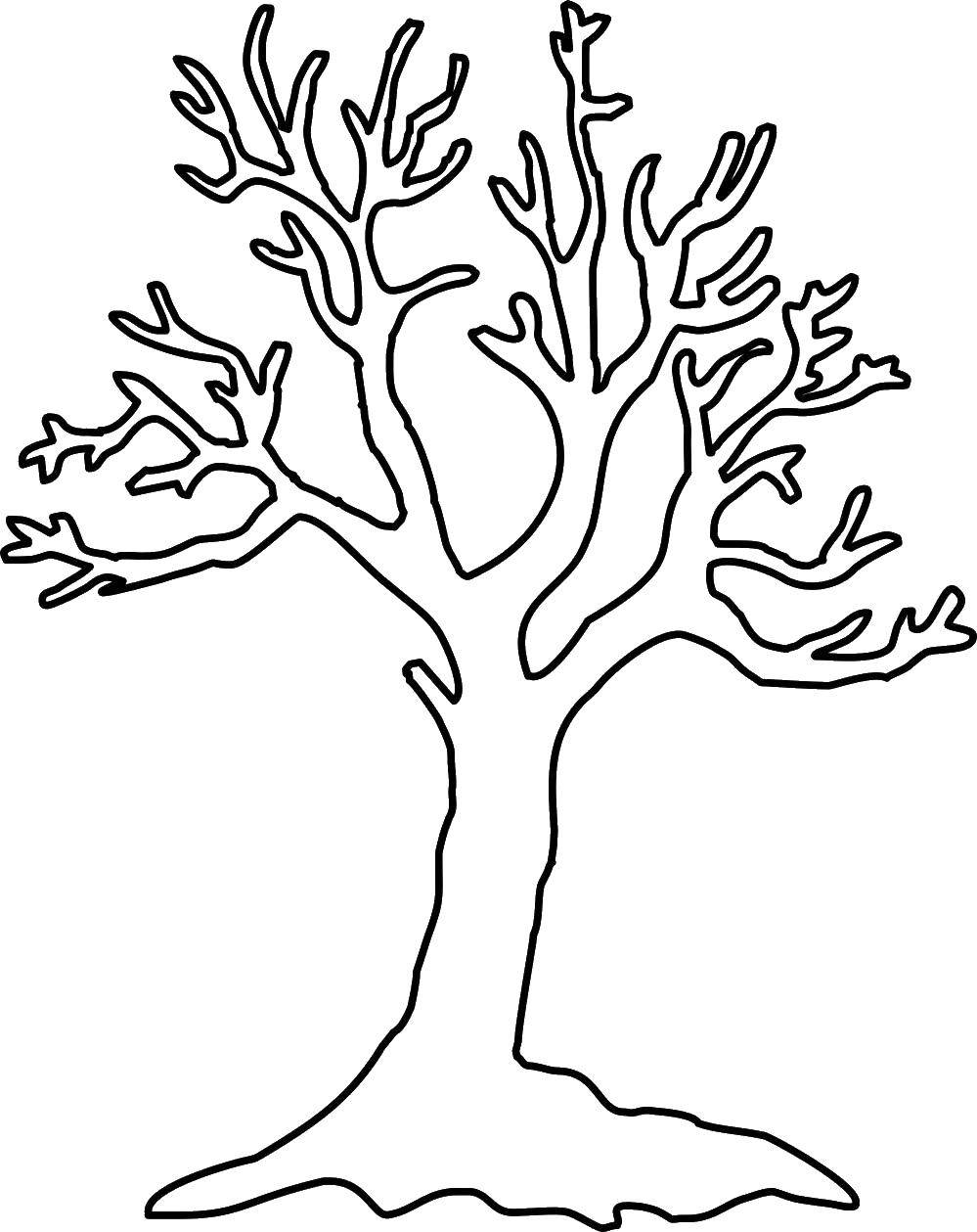 Название: Раскраска Дерево без листьев. Категория: дерево. Теги: Деревья.