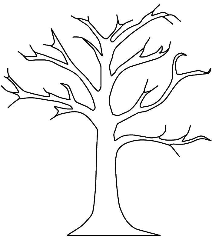Название: Раскраска Контур дерева. Категория: Контур дерева. Теги: контуры, деревья.