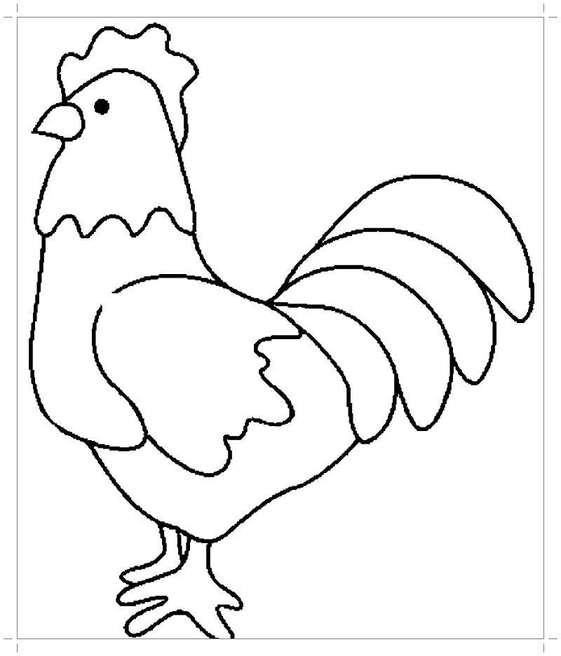 Coloring Cock. Category Pets allowed. Tags:  animals, livestock, rooster, chicken.