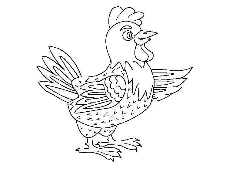 Название: Раскраска Рисунок курицы. Категория: домашние животные. Теги: курица.