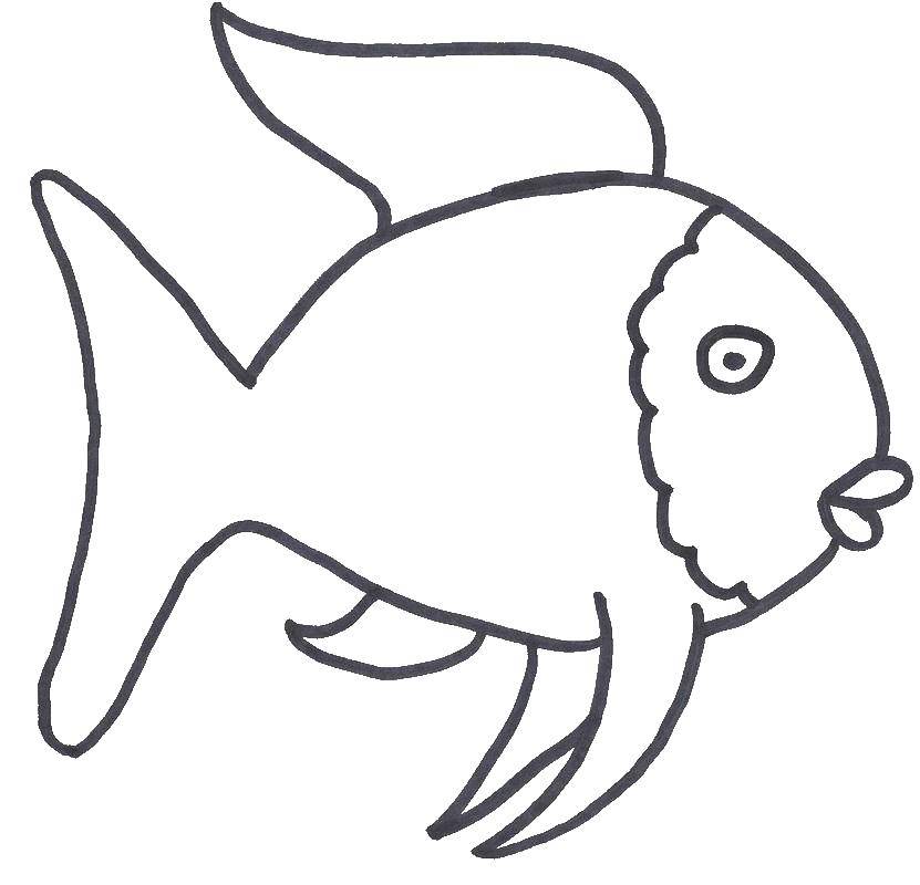 Coloring Fish. Category fish. Tags:  fish, fish, fins.