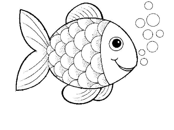 Раскраска рыбы Скачать ,рыбы, рыбки, пузырьки,.  Распечатать 