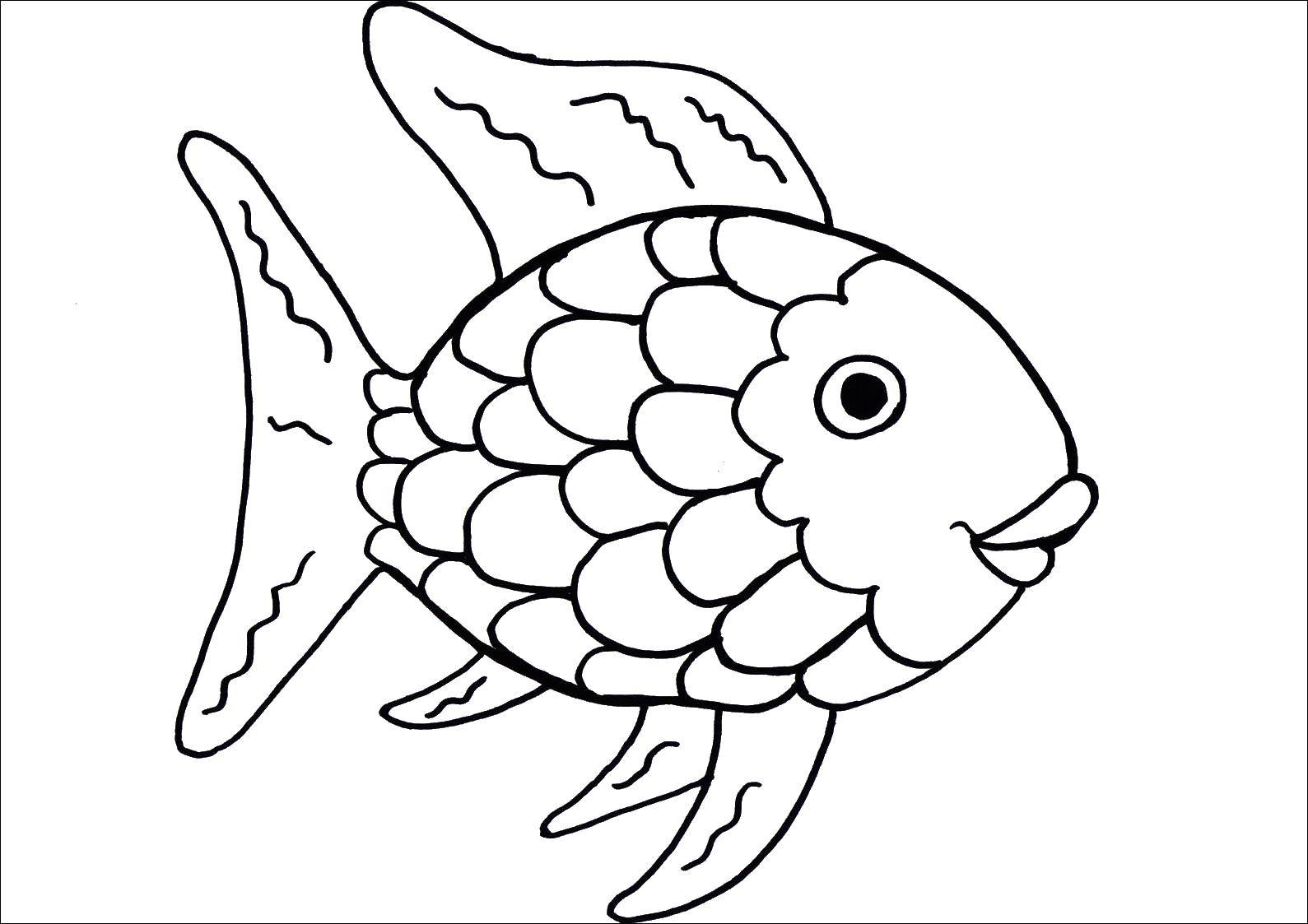 Название: Раскраска Золотая рыбка. Категория: рыбы. Теги: золотая рыбка, рыбы, чешуя.