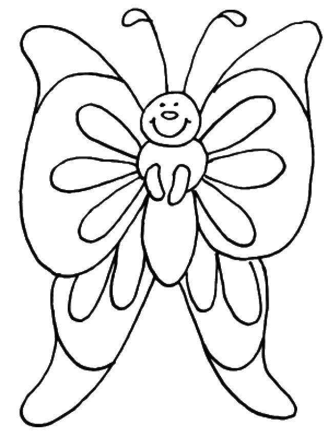 Название: Раскраска Бабочка с большими крыльями. Категория: Весна. Теги: бабочка, крылья, гусеница.