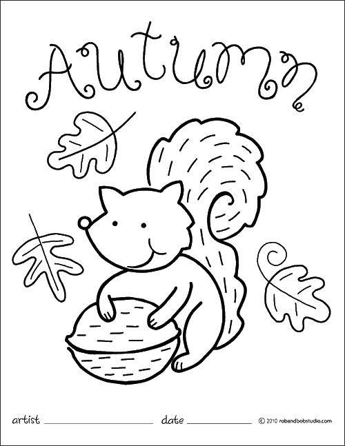 Coloring Squirrel. Category Autumn. Tags:  Autumn, squirrel.
