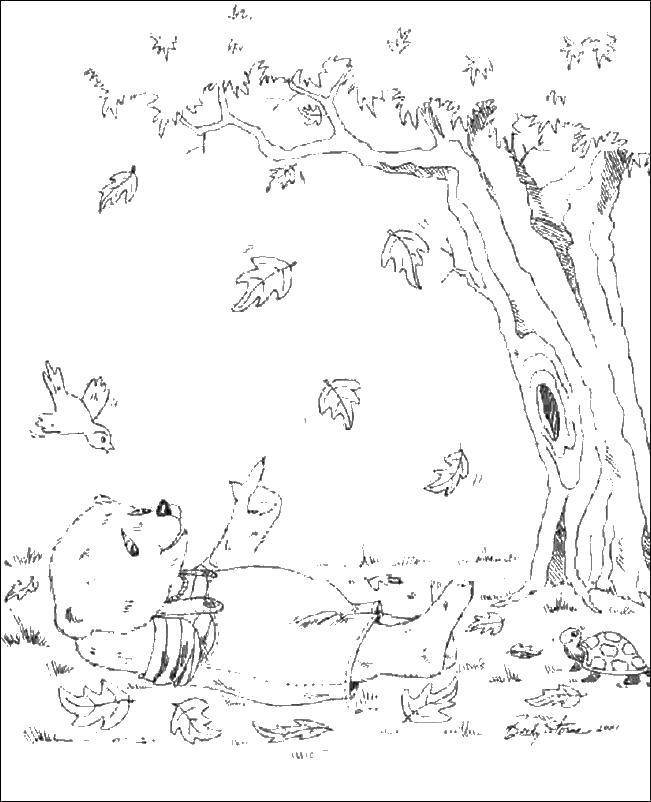 Название: Раскраска Мишка и опавшие листья. Категория: Осень. Теги: медведь, листья, деревья.
