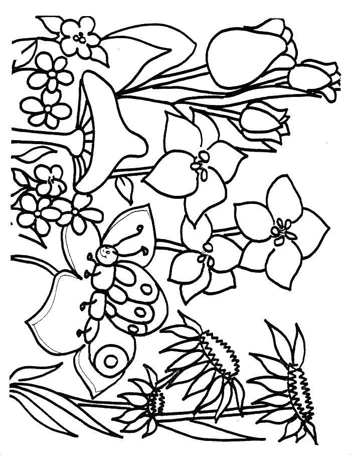 Coloring Flowers and mushrooms. Category Spring. Tags:  flowers, mushrooms, butterfly.