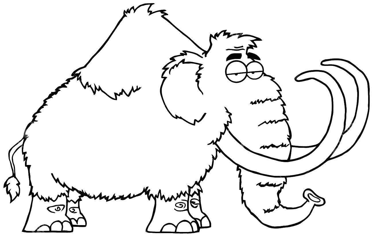 Coloring Mammoth. Category Animals. Tags:  animals, mammoths.