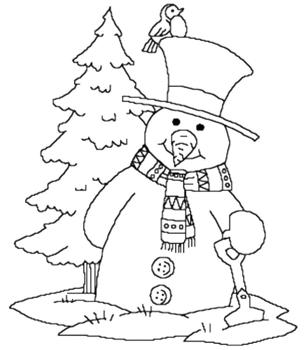 Название: Раскраска Снеговик с птичкой. Категория: раскраски зима. Теги: зима, снеговик, птичка.
