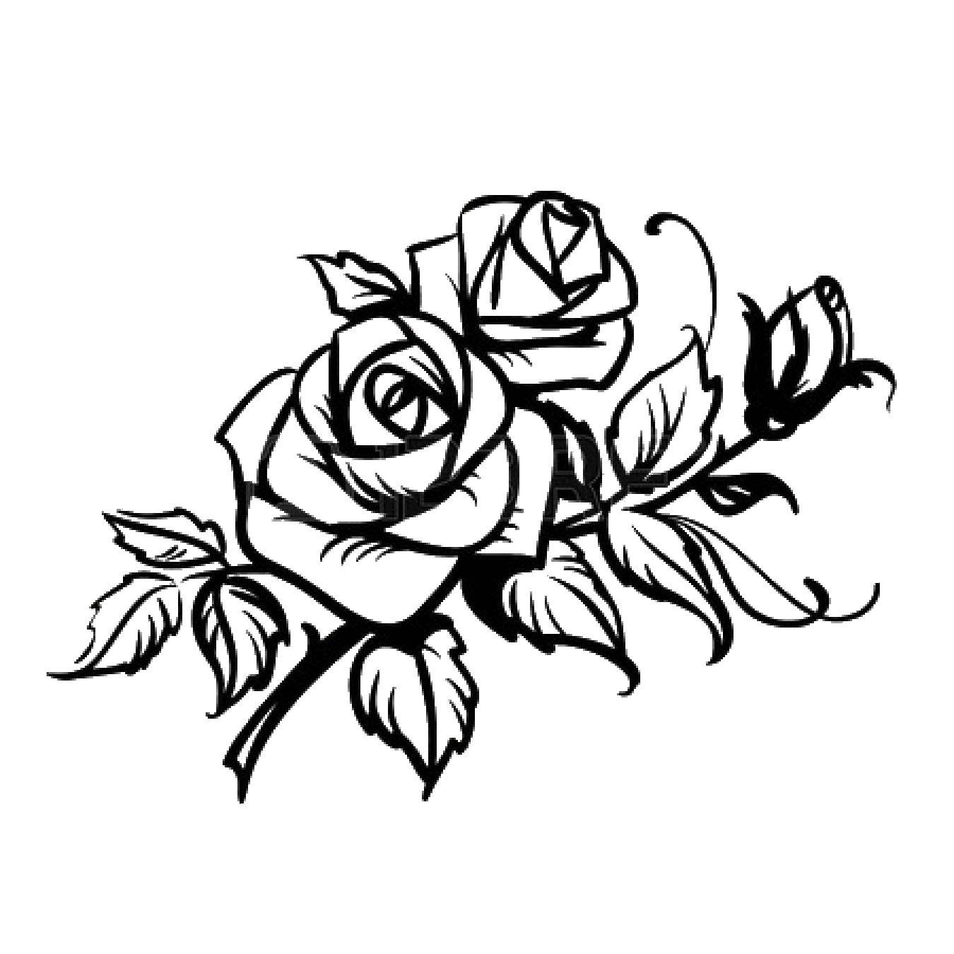 Название: Раскраска Ветка с розами. Категория: цветы. Теги: роза, ветка, листья.